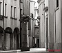 gatta di S. Andrea P01